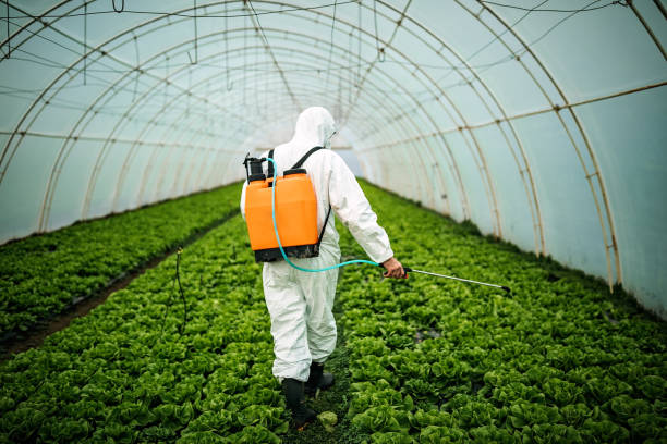 Best Local Pest Control Services  in Aliso Viejo, CA