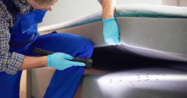 Aliso Viejo, CA Pest Control Company