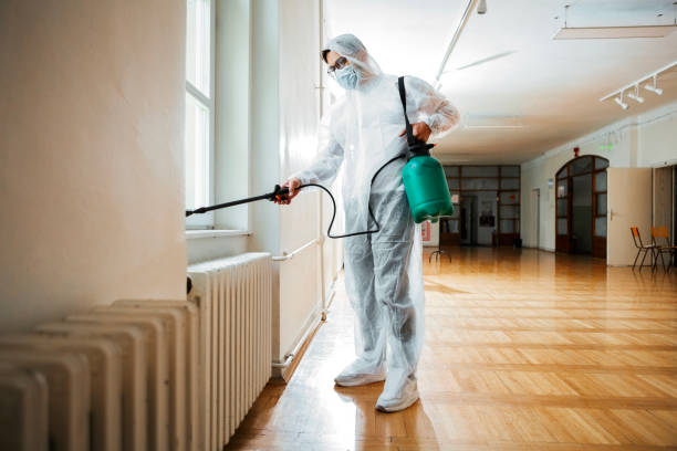 Best Pest Control Treatment  in Aliso Viejo, CA