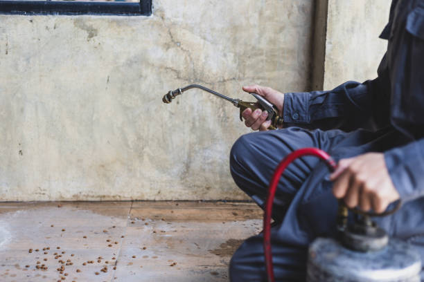 Best Pest Prevention Services  in Aliso Viejo, CA
